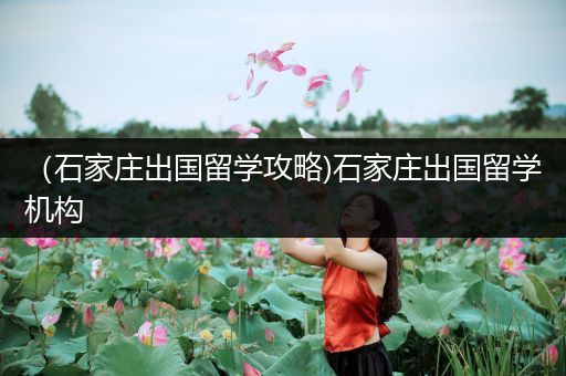 （石家庄出国留学攻略)石家庄出国留学机构