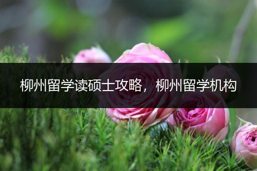 柳州留学读硕士攻略，柳州留学机构