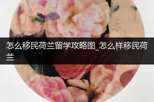 怎么移民荷兰留学攻略图_怎么样移民荷兰