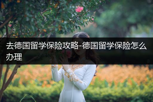 去德国留学保险攻略-德国留学保险怎么办理