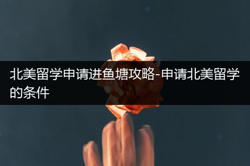 北美留学申请进鱼塘攻略-申请北美留学的条件