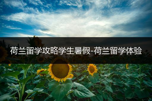 荷兰留学攻略学生暑假-荷兰留学体验