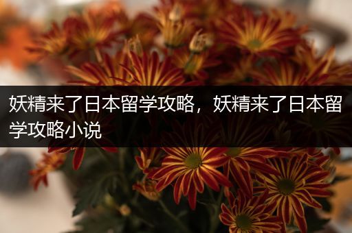 妖精来了日本留学攻略，妖精来了日本留学攻略小说