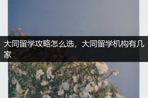 大同留学攻略怎么选，大同留学机构有几家