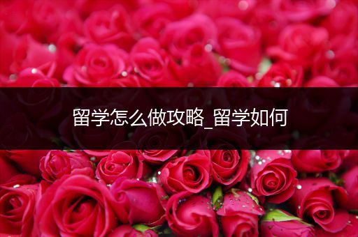 留学怎么做攻略_留学如何