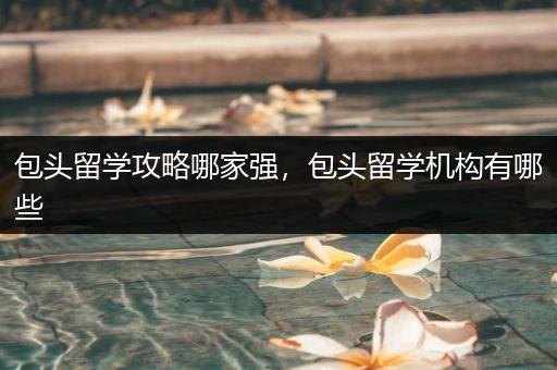 包头留学攻略哪家强，包头留学机构有哪些