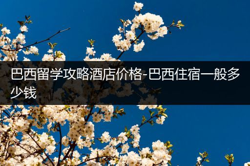 巴西留学攻略酒店价格-巴西住宿一般多少钱