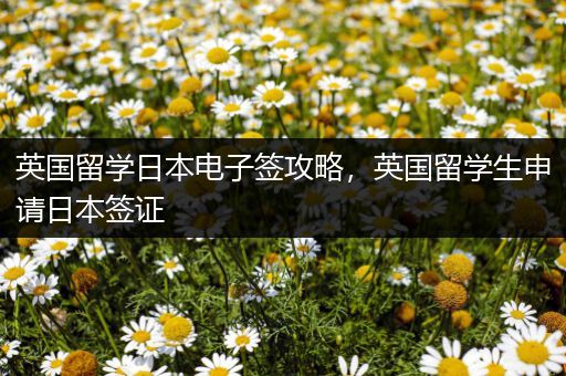 英国留学日本电子签攻略，英国留学生申请日本签证