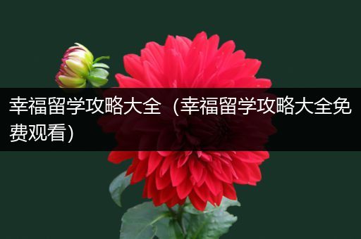 幸福留学攻略大全（幸福留学攻略大全免费观看）