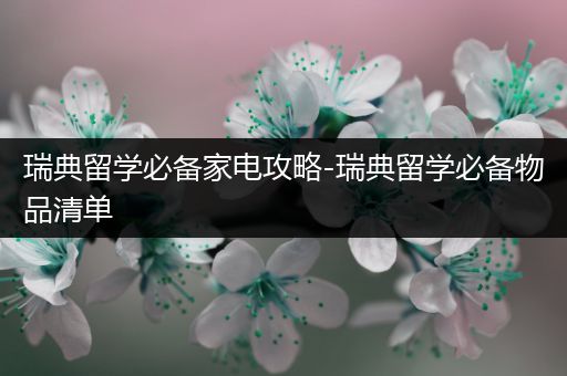 瑞典留学必备家电攻略-瑞典留学必备物品清单