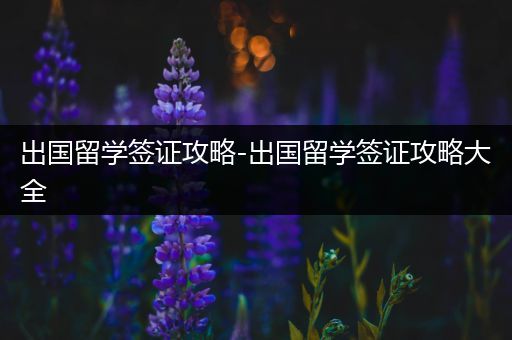 出国留学签证攻略-出国留学签证攻略大全