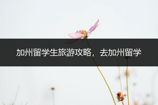 加州留学生旅游攻略，去加州留学