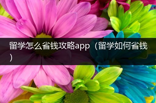 留学怎么省钱攻略app（留学如何省钱）