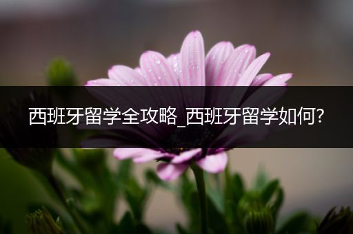 西班牙留学全攻略_西班牙留学如何?