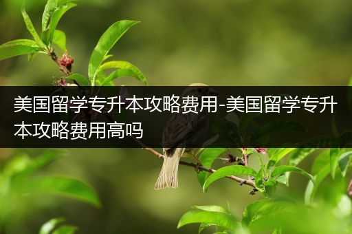 美国留学专升本攻略费用-美国留学专升本攻略费用高吗