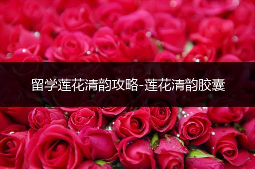 留学莲花清韵攻略-莲花清韵胶囊