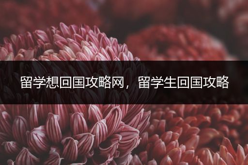 留学想回国攻略网，留学生回国攻略