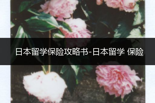 日本留学保险攻略书-日本留学 保险