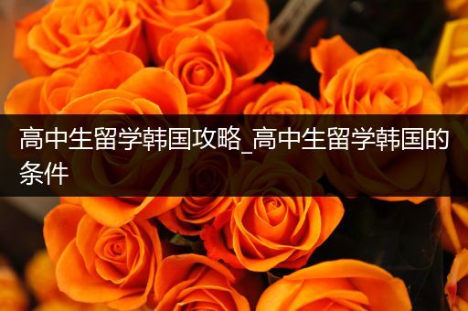 高中生留学韩国攻略_高中生留学韩国的条件