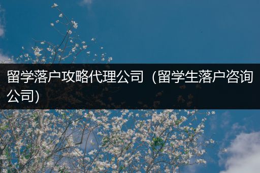 留学落户攻略代理公司（留学生落户咨询公司）