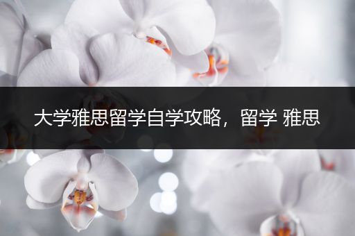 大学雅思留学自学攻略，留学 雅思