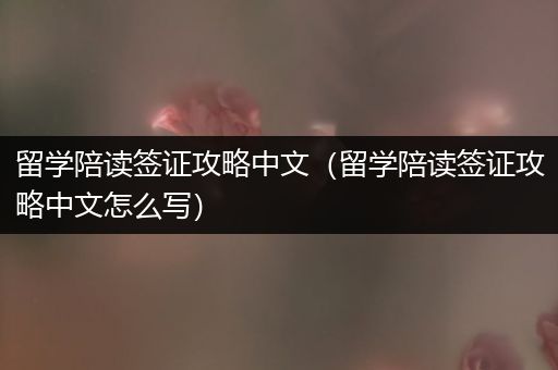 留学陪读签证攻略中文（留学陪读签证攻略中文怎么写）