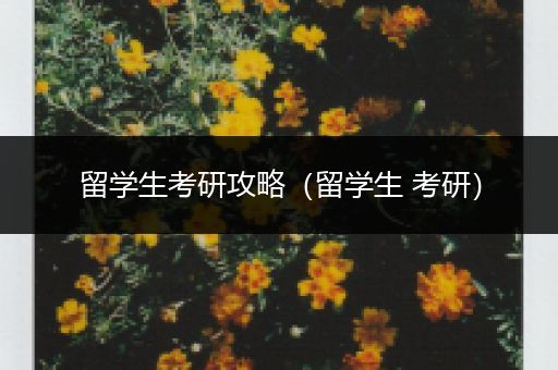 留学生考研攻略（留学生 考研）