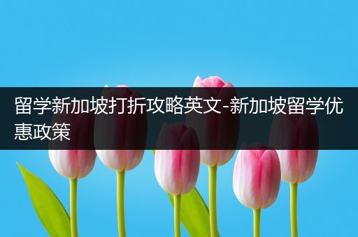 留学新加坡打折攻略英文-新加坡留学优惠政策