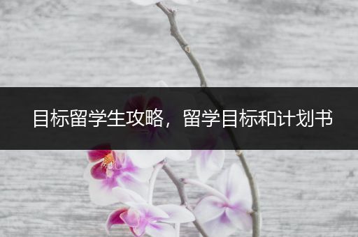 目标留学生攻略，留学目标和计划书