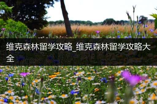 维克森林留学攻略_维克森林留学攻略大全
