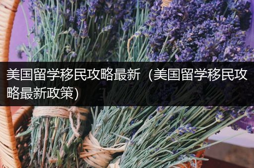 美国留学移民攻略最新（美国留学移民攻略最新政策）