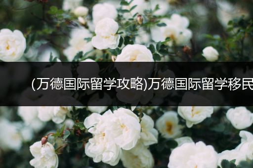 （万德国际留学攻略)万德国际留学移民