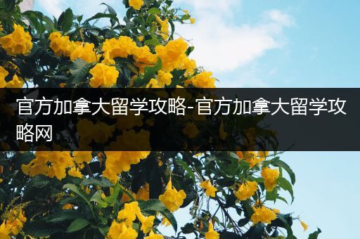 官方加拿大留学攻略-官方加拿大留学攻略网