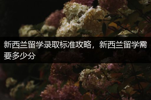 新西兰留学录取标准攻略，新西兰留学需要多少分