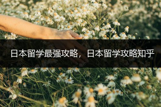 日本留学最强攻略，日本留学攻略知乎