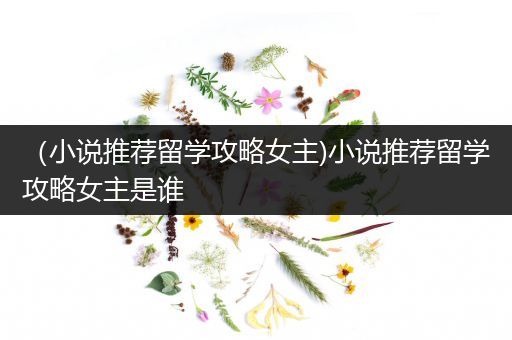 （小说推荐留学攻略女主)小说推荐留学攻略女主是谁