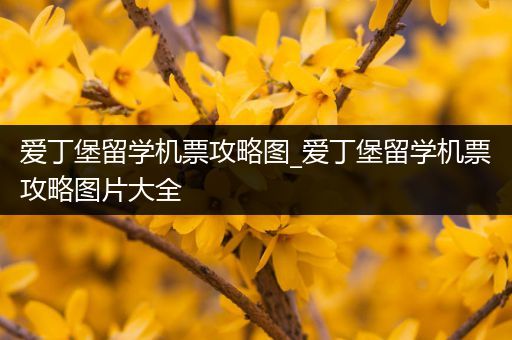 爱丁堡留学机票攻略图_爱丁堡留学机票攻略图片大全