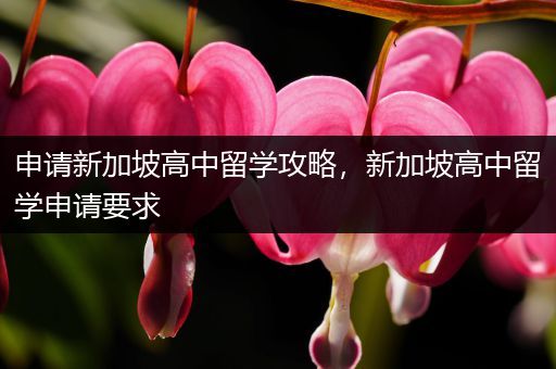 申请新加坡高中留学攻略，新加坡高中留学申请要求