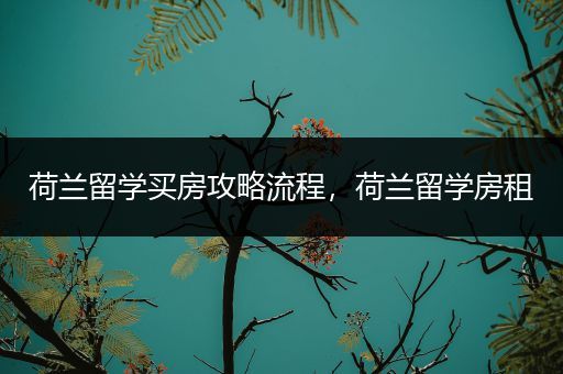 荷兰留学买房攻略流程，荷兰留学房租