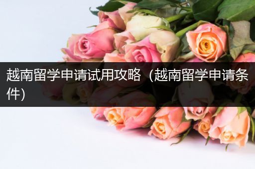 越南留学申请试用攻略（越南留学申请条件）