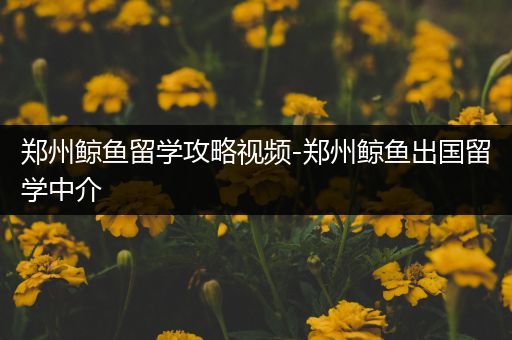 郑州鲸鱼留学攻略视频-郑州鲸鱼出国留学中介