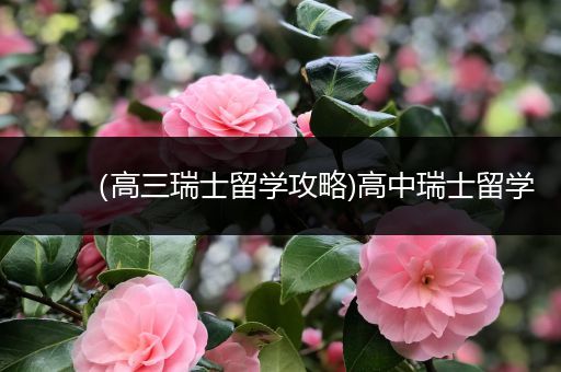 （高三瑞士留学攻略)高中瑞士留学