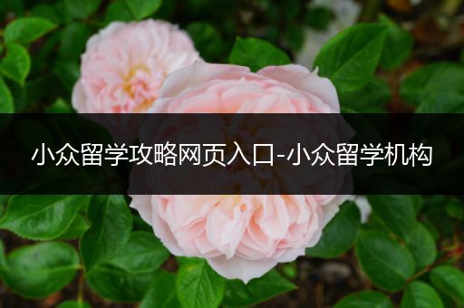 小众留学攻略网页入口-小众留学机构