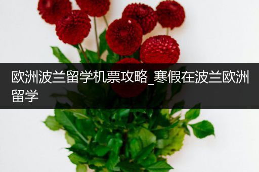 欧洲波兰留学机票攻略_寒假在波兰欧洲留学