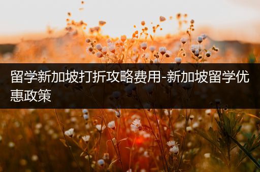 留学新加坡打折攻略费用-新加坡留学优惠政策