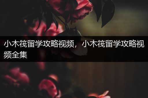 小木筏留学攻略视频，小木筏留学攻略视频全集