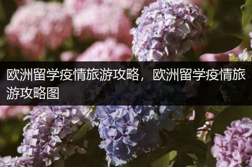 欧洲留学疫情旅游攻略，欧洲留学疫情旅游攻略图