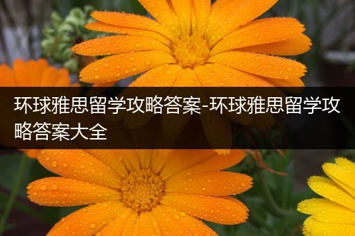 环球雅思留学攻略答案-环球雅思留学攻略答案大全