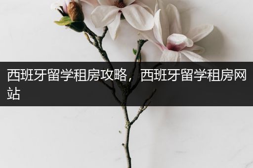 西班牙留学租房攻略，西班牙留学租房网站