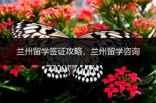 兰州留学签证攻略，兰州留学咨询
